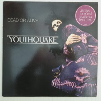 Disc Vinil LP Dead Or Alive – Youthquake