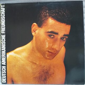 DAF  Deutsch Amerikanische Freundschaft – Alles Ist Gut   Disc vinil VG VG- (SN)