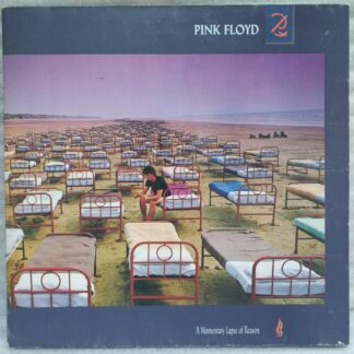 Pink Floyd – A Momentary Lapse Of Reason   Disc vinil (SNG)
