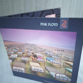 Pink Floyd – A Momentary Lapse Of Reason  Disc VINIL VG+