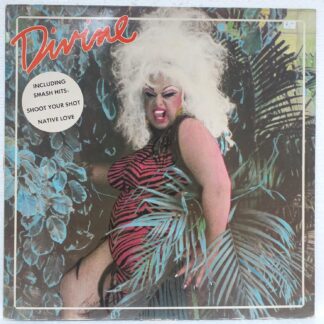 Divine – My First Album   Disc VINIL LP VG PUTIN DEFORMAT  (R)