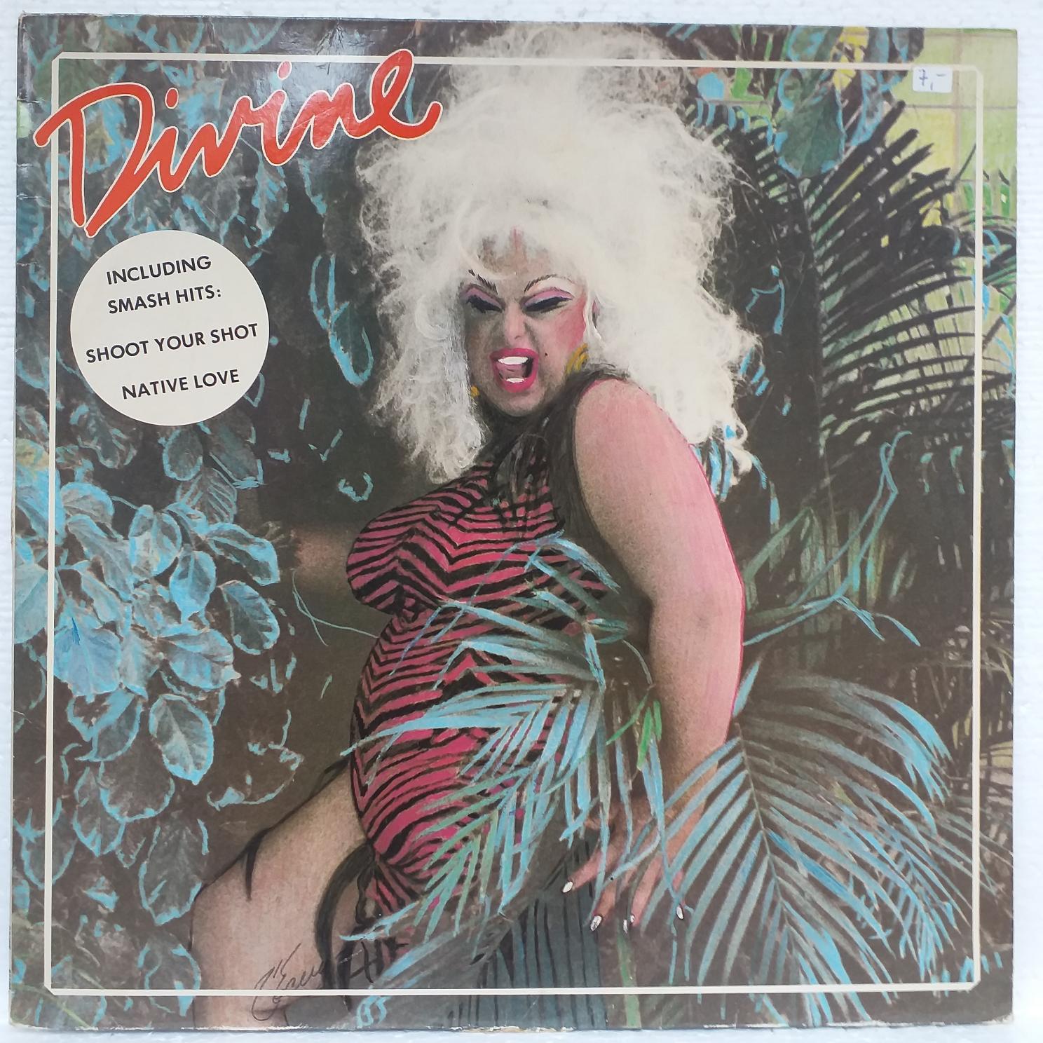 Divine – My First Album Disc VINIL LP VG PUTIN DEFORMAT (R)