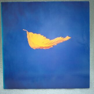 New Order – True Faith / 1963  Disc VINIL maxi VG+