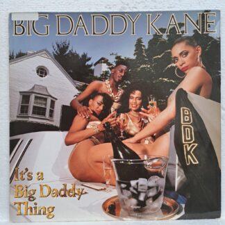 Big Daddy Kane – It's A Big Daddy Thing   Disc VINIL LP VG VG-