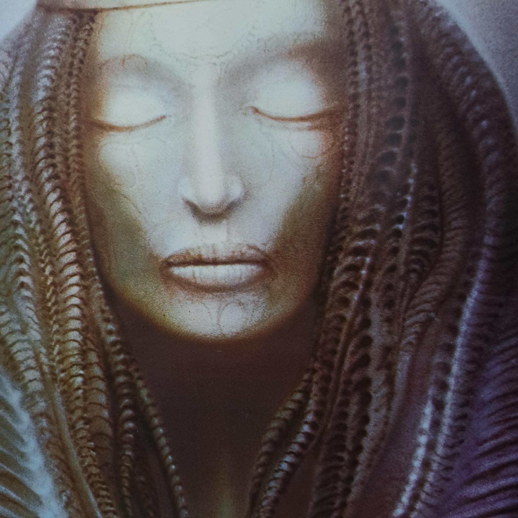 Emerson, Lake & Palmer – Brain Salad Surgery Disc VINIL LP VG+ - imagine 3