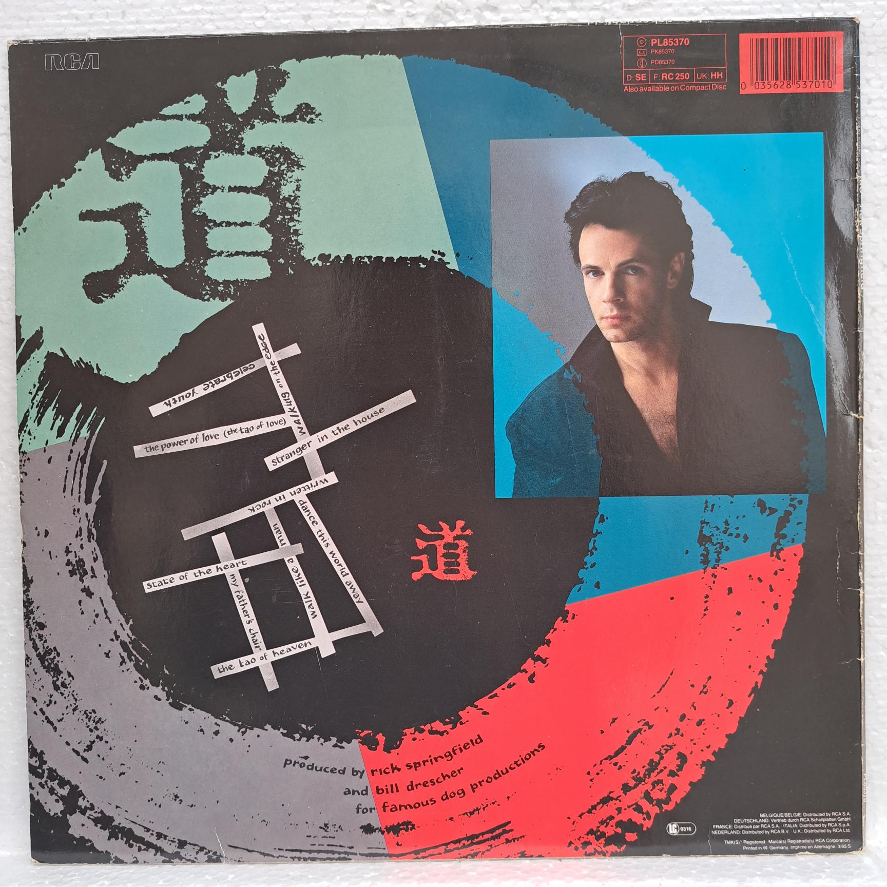 Rick Springfield – Tao Disc VINIL LP VG VG+ - imagine 2