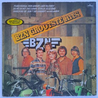 BZN – Grootste Hits   Disc VINIL LP  VG