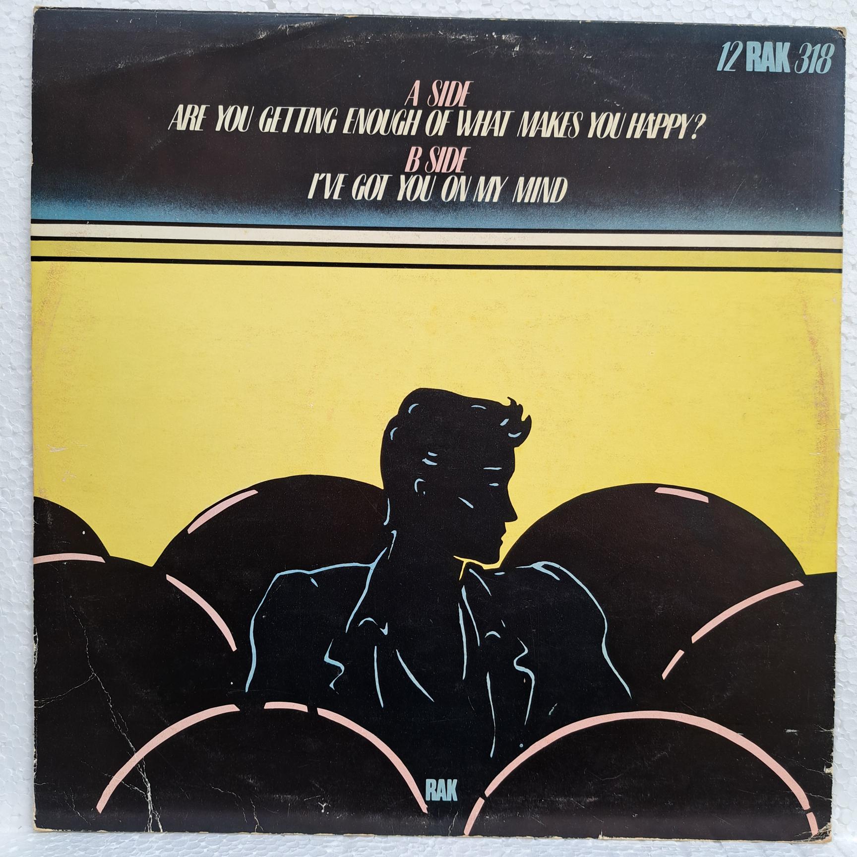 Hot Chocolate – Are You Getting Enough Of What Makes You Happy? Disc VINIL MAXI VG+ (box6) - imagine 3
