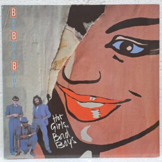 Bad Boys Blue – Hot Girls, Bad Boys   Disc VINIL LP VG VG+ (BOXC)
