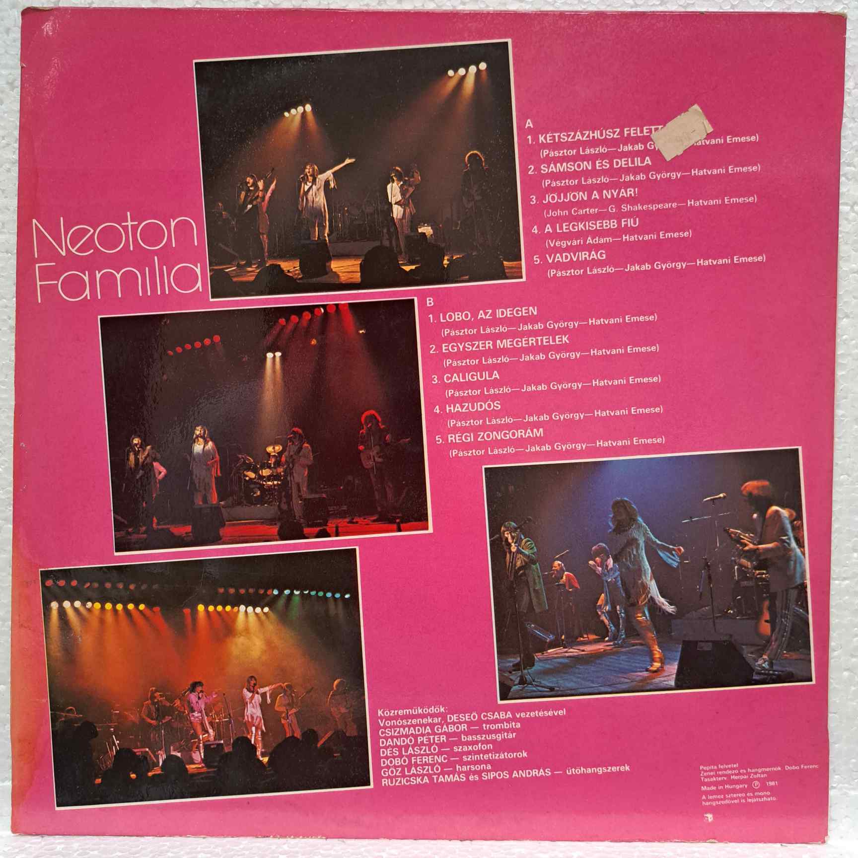 Neoton Família – A Família Disc VINIL LP VG (BOXF) - imagine 2