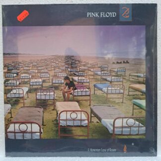 Pink Floyd – A Momentary Lapse Of Reason    Disc VINIL LP  VG  VG- (BOXF)  resigilat