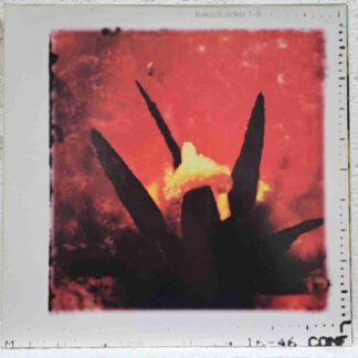 Boksch – Ocker 1-8  Disc VINIL LP VG+  (BOX5)