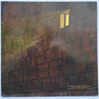 Mike Oldfield And Roger Chapman – Shadow On The Wall (Extended Version) - Disc Vinil MAXI 45 RPM VG VG+ (box8)