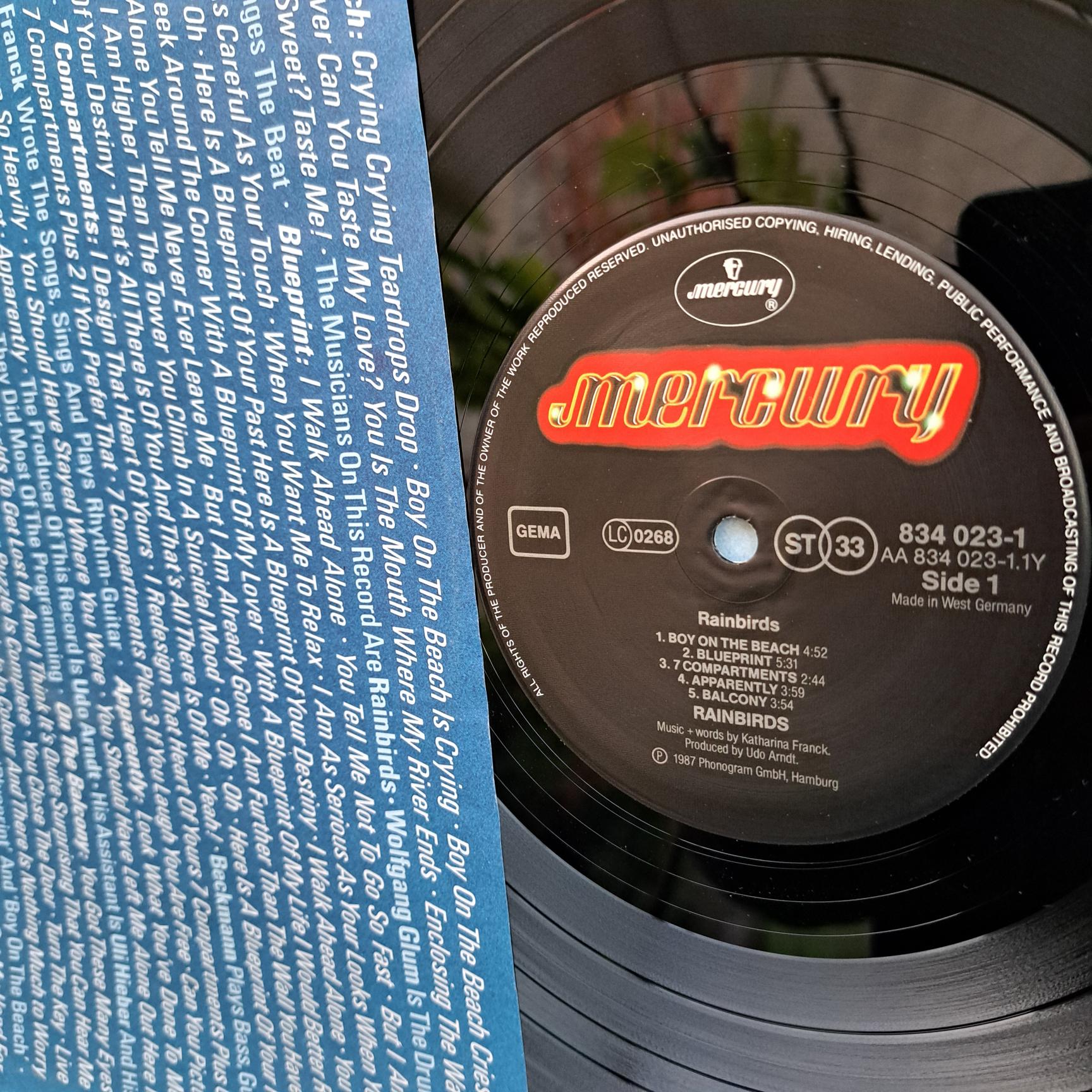 Rainbirds – Rainbirds - Disc Vinil LP VG VG+(box8) - imagine 2