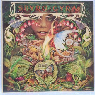 Spyro Gyra – Morning Dance  Disc Vinil  LP  VG+ (boxC)