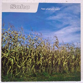 Soho – Feel What You Want  - Disc Vinil VG+