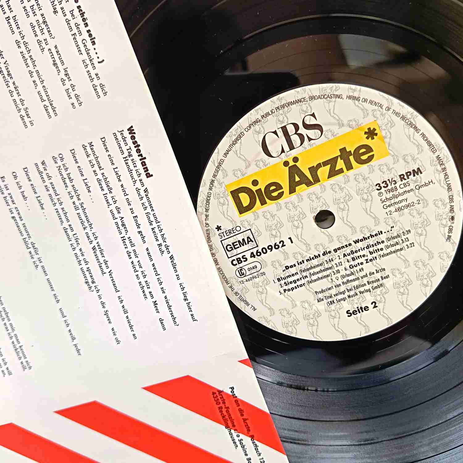 Die Ärzte – Das Ist Nicht Die Ganze Wahrheit... - Disc VINIL LP VG+ - imagine 2