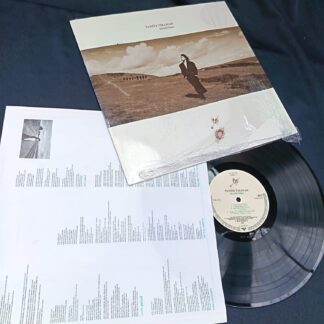 Tanita Tikaram – Ancient Heart - Disc VINIL LP VG VG+