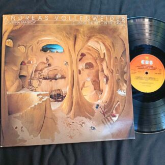 Andreas Vollenweider – Caverna Magica (...Under The Tree - In The Cave...)  - Disc Vinil LP VG VG+