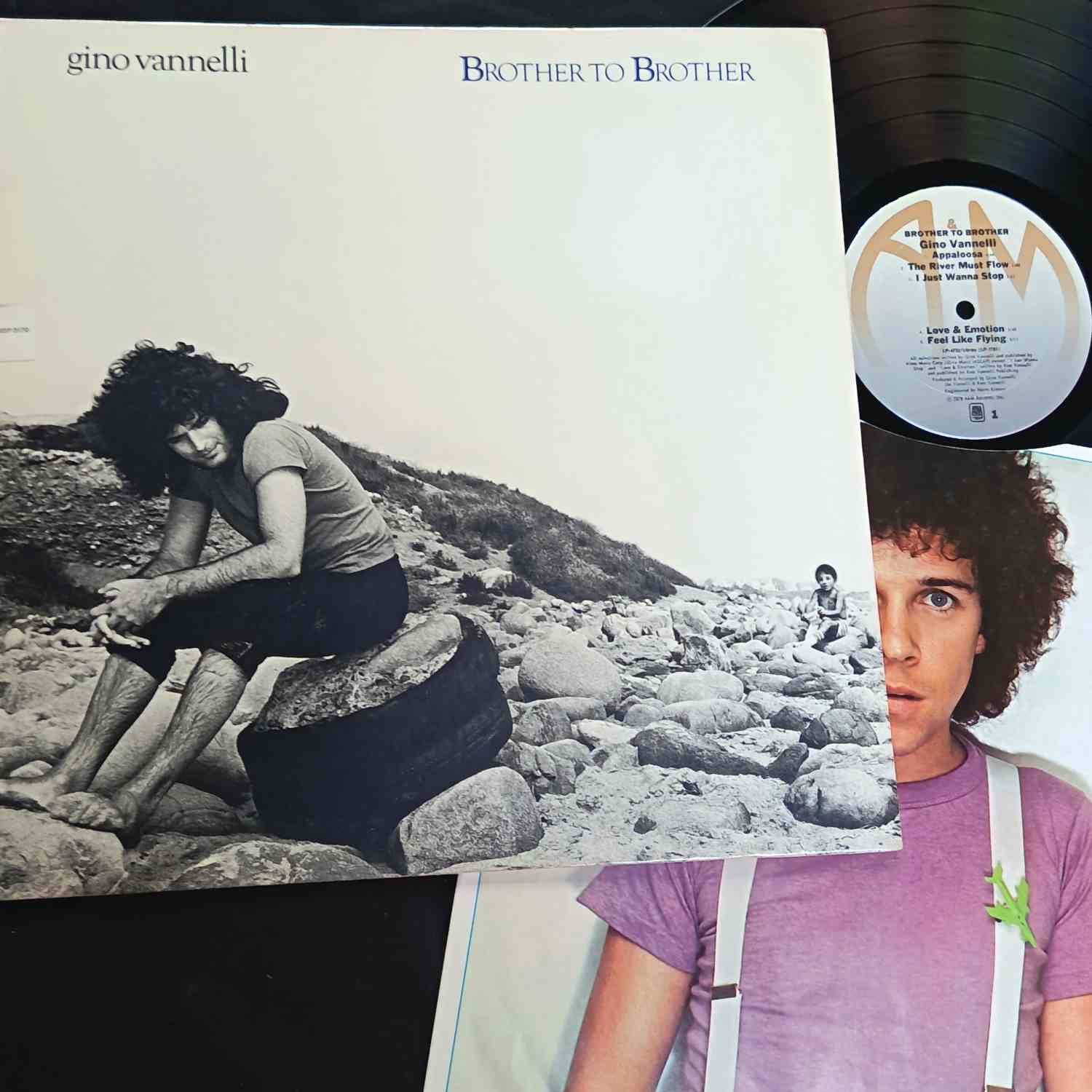 Gino Vannelli – Brother To Brother – Disc VINIL LP VG VG+ USA